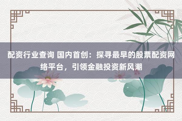 配资行业查询 国内首创：探寻最早的股票配资网络平台，引领金融投资新风潮