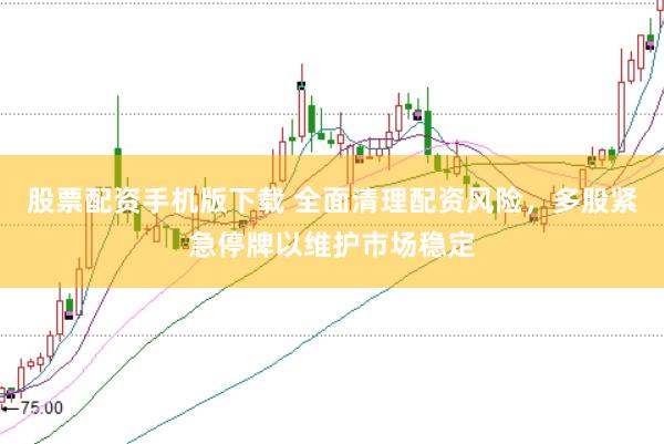 股票配资手机版下载 全面清理配资风险，多股紧急停牌以维护市场稳定