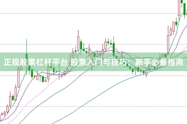 正规股票杠杆平台 股票入门与技巧：新手必备指南