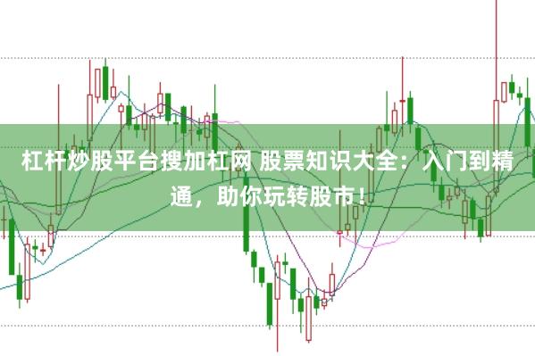 杠杆炒股平台搜加杠网 股票知识大全：入门到精通，助你玩转股市！