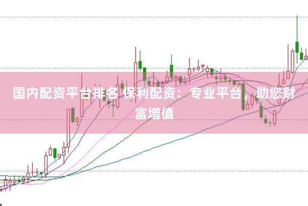 国内配资平台排名 保利配资：专业平台，助您财富增值