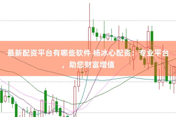 最新配资平台有哪些软件 杨冰心配资：专业平台，助您财富增值