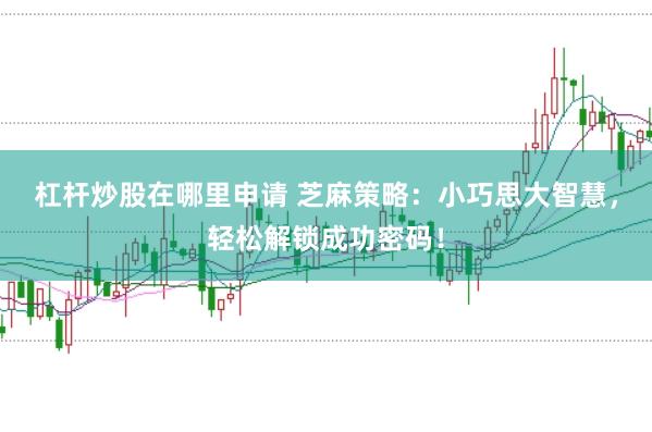 杠杆炒股在哪里申请 芝麻策略：小巧思大智慧，轻松解锁成功密码！