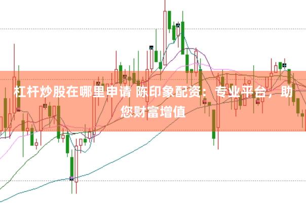 杠杆炒股在哪里申请 陈印象配资：专业平台，助您财富增值