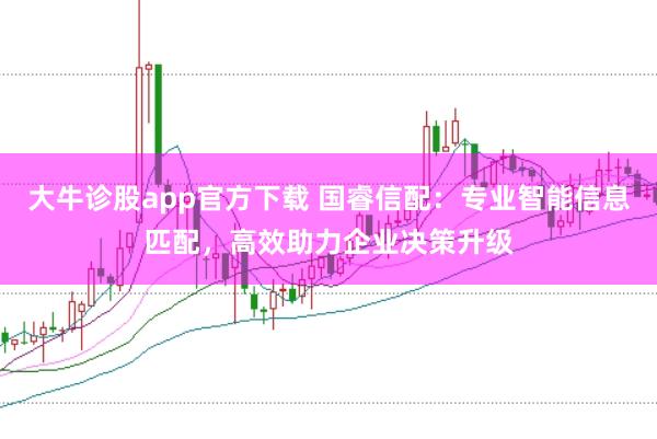 大牛诊股app官方下载 国睿信配：专业智能信息匹配，高效助力企业决策升级