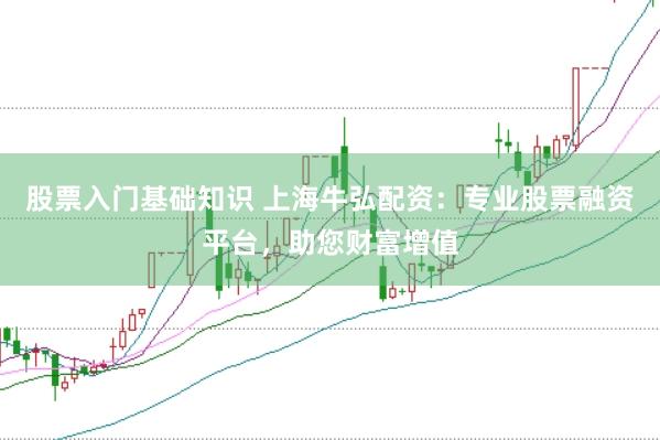 股票入门基础知识 上海牛弘配资：专业股票融资平台，助您财富增值