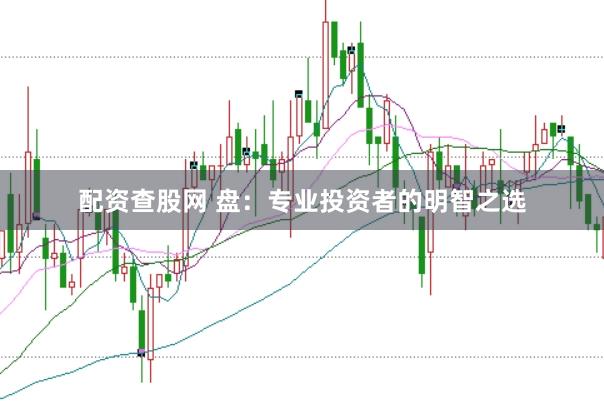 配资查股网 盘：专业投资者的明智之选