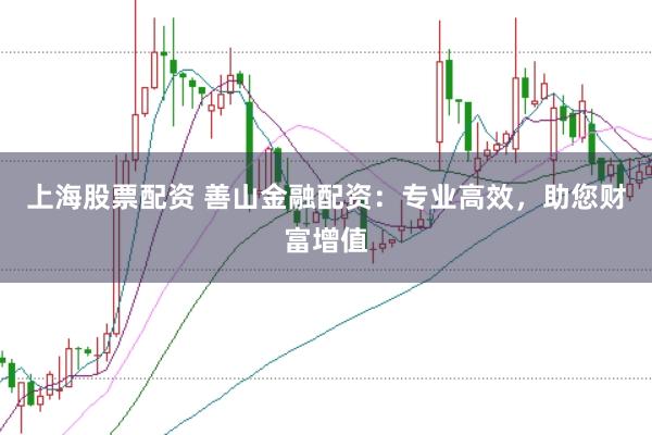 上海股票配资 善山金融配资:专业高效,助您财富增值