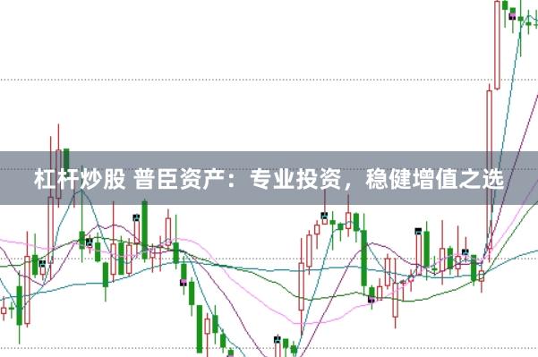 杠杆炒股 普臣资产:专业投资,稳健增值之选