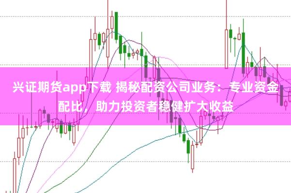 兴证期货app下载 揭秘配资公司业务：专业资金配比，助力投资者稳健扩大收益