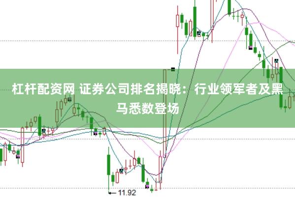 杠杆配资网 证券公司排名揭晓:行业领军者及黑马悉数登场