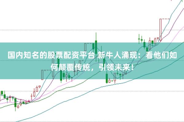 国内知名的股票配资平台 新牛人涌现:看他们如何颠覆传统,引领未来!