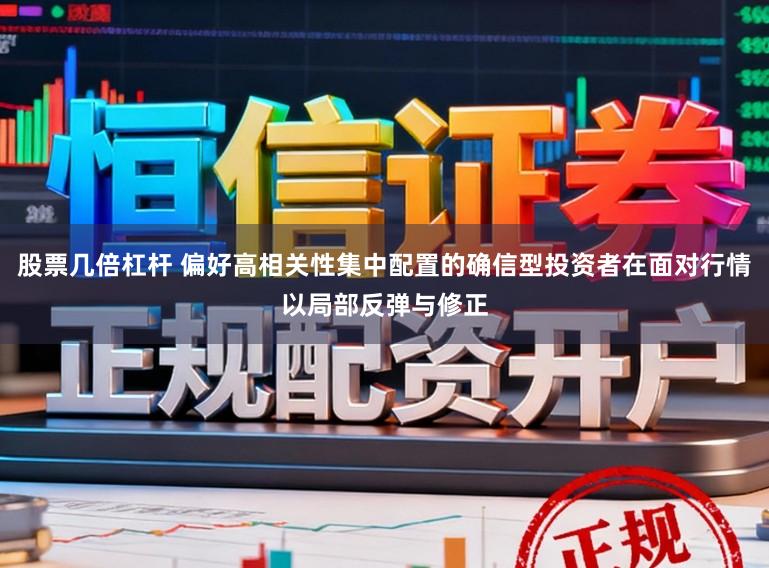 股票几倍杠杆 偏好高相关性集中配置的确信型投资者在面对行情以局部反弹与修正