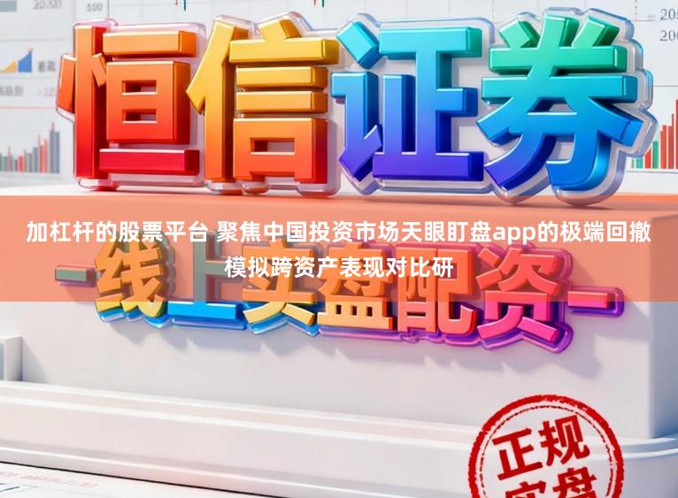 加杠杆的股票平台 聚焦中国投资市场天眼盯盘app的极端回撤模拟跨资产表现对比研