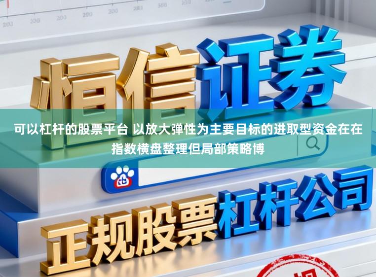 可以杠杆的股票平台 以放大弹性为主要目标的进取型资金在在指数横盘整理但局部策略博