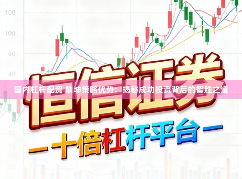国内杠杆配资 鼎坤策略优势:揭秘成功投资背后的智胜之道